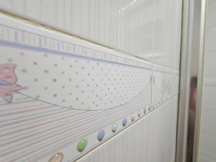 4 Bedroom Property for Sale in Zinniaville North West